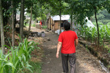 s_gaocao alley.jpg